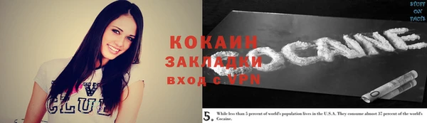 дживик Семилуки