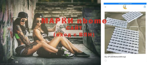 индика Снежинск