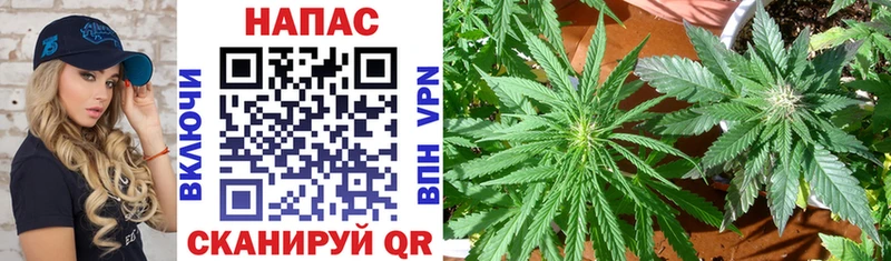 Канабис THC 21%  Егорьевск 